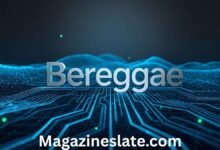 Bereggae